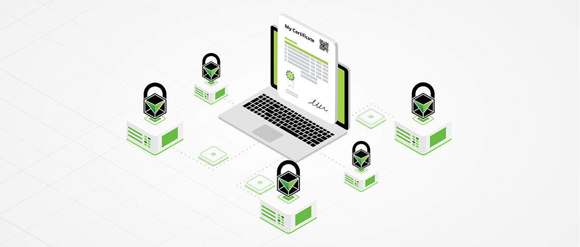 What Are Digital Certificates What Are Digital Certificates